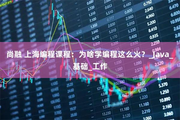 尚融 上海编程课程：为啥学编程这么火？_Java_基础_工作