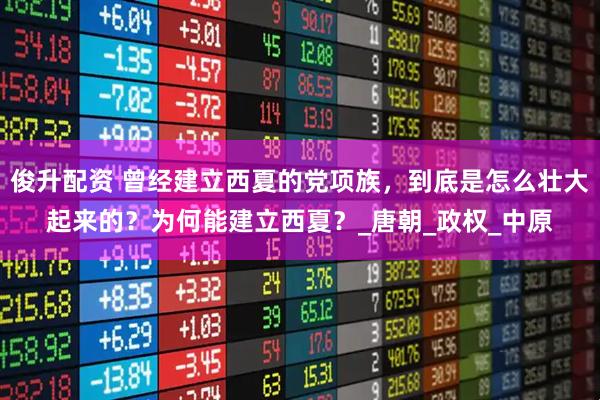 俊升配资 曾经建立西夏的党项族，到底是怎么壮大起来的？为何能建立西夏？_唐朝_政权_中原
