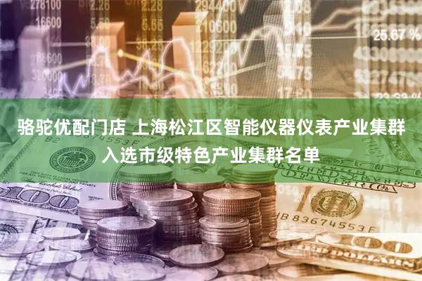 骆驼优配门店 上海松江区智能仪器仪表产业集群入选市级特色产业集群名单