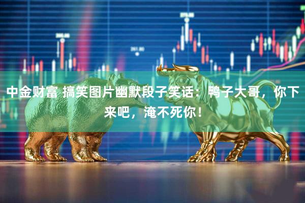 中金财富 搞笑图片幽默段子笑话：鸭子大哥，你下来吧，淹不死你！