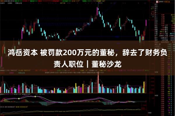 鸿岳资本 被罚款200万元的董秘，辞去了财务负责人职位｜董秘沙龙